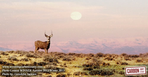 Photo Contest Winner Gemdelin Jackson