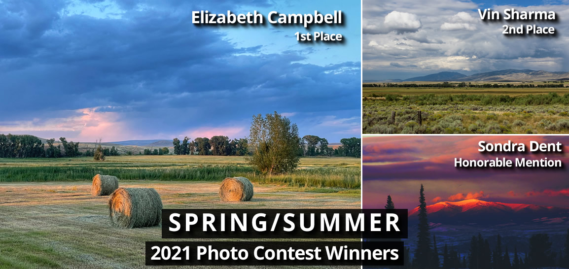Spring/Summer 2021 Photo Contest Results