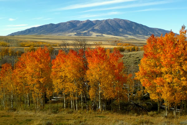 Elk Mountain