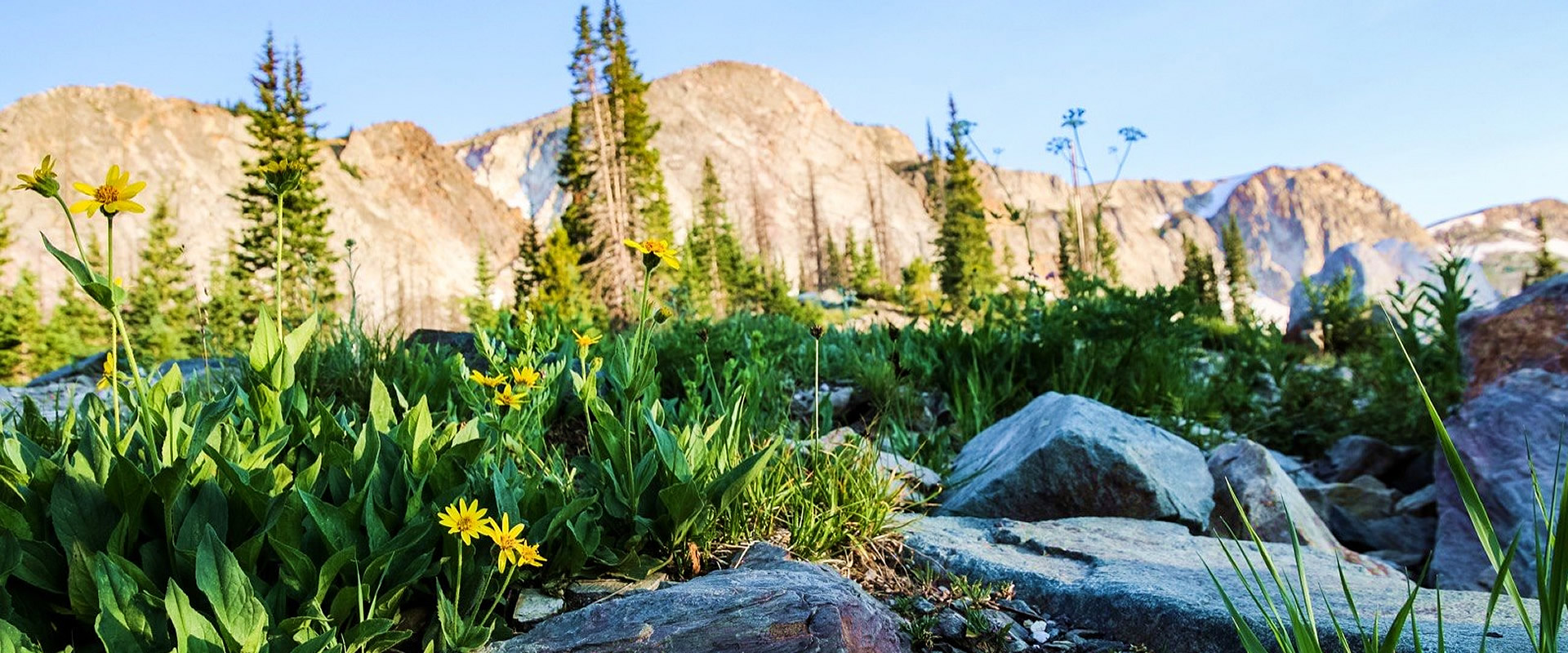 Carbon County For Rent at Katherine Wyant blog