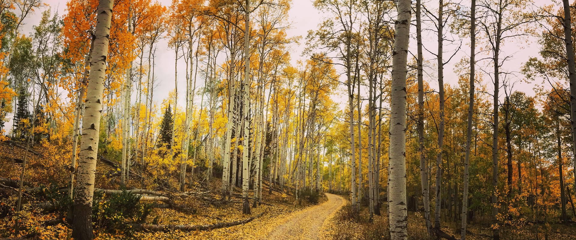 carbon-county-wyoming-travel-vacation-information